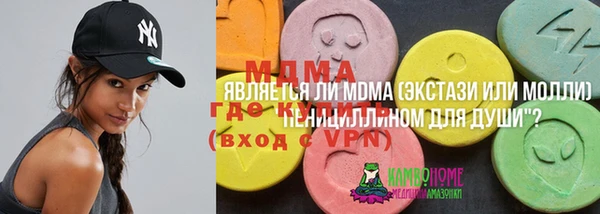 mdpv Богородицк