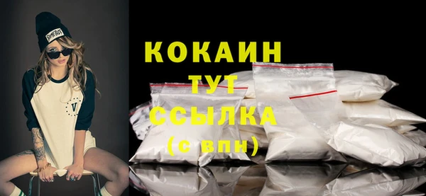 mdpv Богородицк