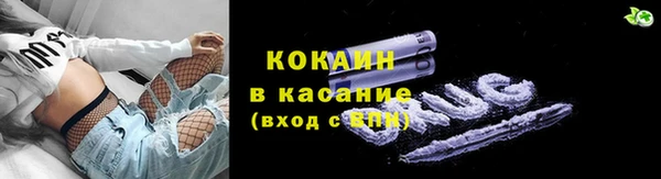 mdpv Богородицк