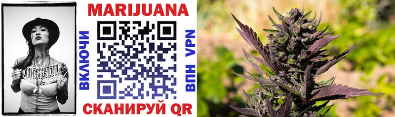 Купить где  Волжск  Канабис индика 